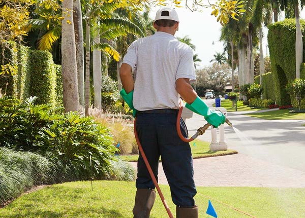 About Edison NJ Pest Control Pros